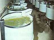 �~(y��)�������