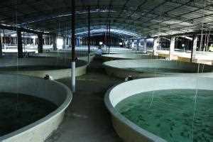 ������B(y��ng)ֳ��